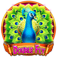 Double Fly game artwork