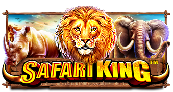 Safari King game artwork