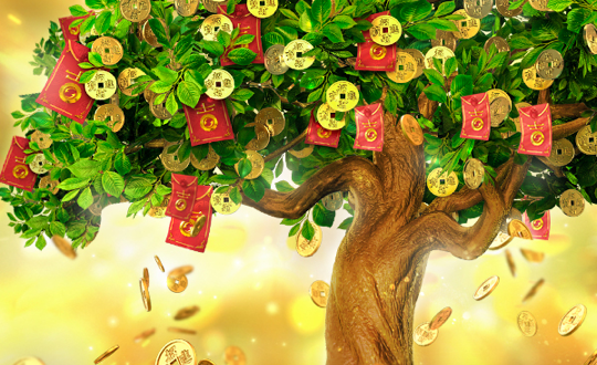 Tree Of Fortune game artwork