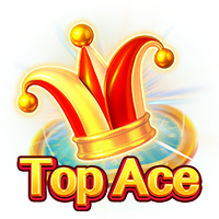 Top Ace game artwork
