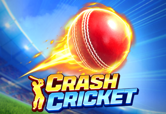 Crash Cricket game artwork