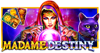 Madame Destiny game artwork