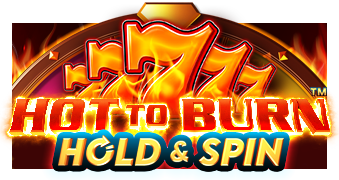Hot To Burn Hold And Spin game artwork