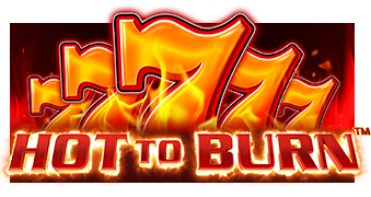 Hot To Burn game artwork