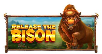Release The Bison game artwork
