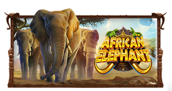 African Elephant game artwork