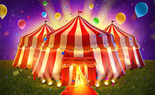 Circus Delight game artwork