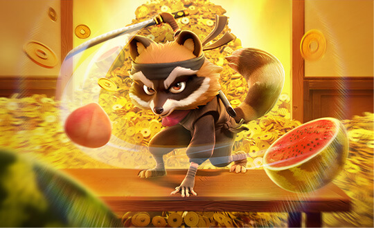 Ninja Raccoon Frenzy game artwork