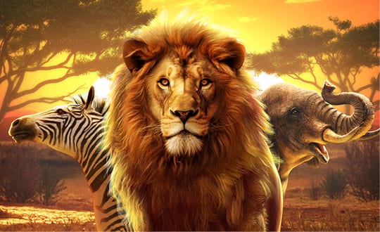 Safari Wilds game artwork