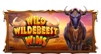 Wild Wildebeest Wins game artwork