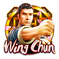 Wing Chun game artwork