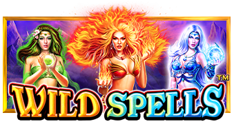 Wild Spells game artwork